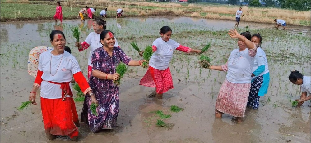 Sajilo Khoj